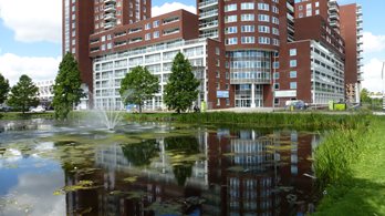 Groenling Appartement B Steenloperstraat 215