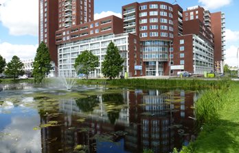 Roodborst Appartement B Steenloperstraat 195